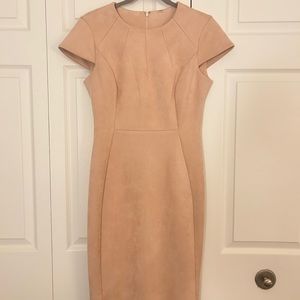 Calvin Klein Blush Pink Suede Dress